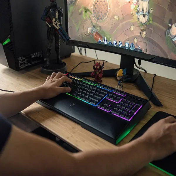 KEYBOARD RAZER ORNATA V2