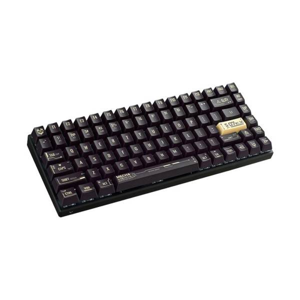 کیبورد گیمینگ بیسیم رپو Rapoo V700 8A Gaming Keyboard