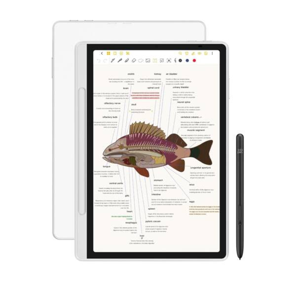 تبلت یادداشت هوشمند ایکس پی پن مدل XP-Pen Magic Note Pad